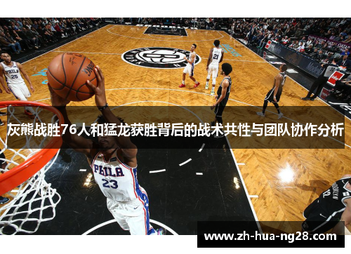 灰熊战胜76人和猛龙获胜背后的战术共性与团队协作分析